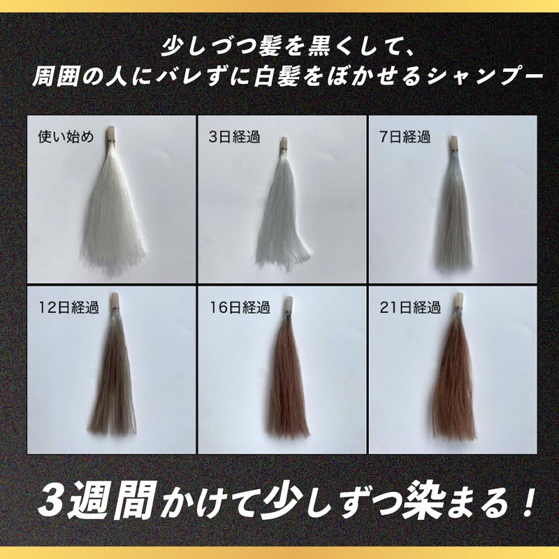 RAKUKURO Men's Gray Hair Dye Shampoo, Apple Mint Scent, Prevents