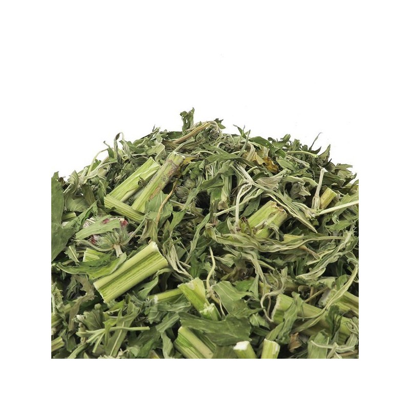 Donguihanjae 동의한재 국산 익모초 육모초 500g Korean Domestic Mugwort Herb