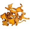 Forest Food Shop Dried Chanterelle Mushrooms 3 Ounce – Handpicked