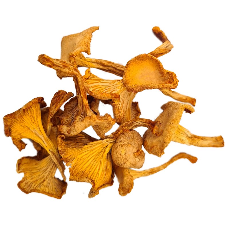 Forest Food Shop Dried Chanterelle Mushrooms 3 Ounce – Handpicked