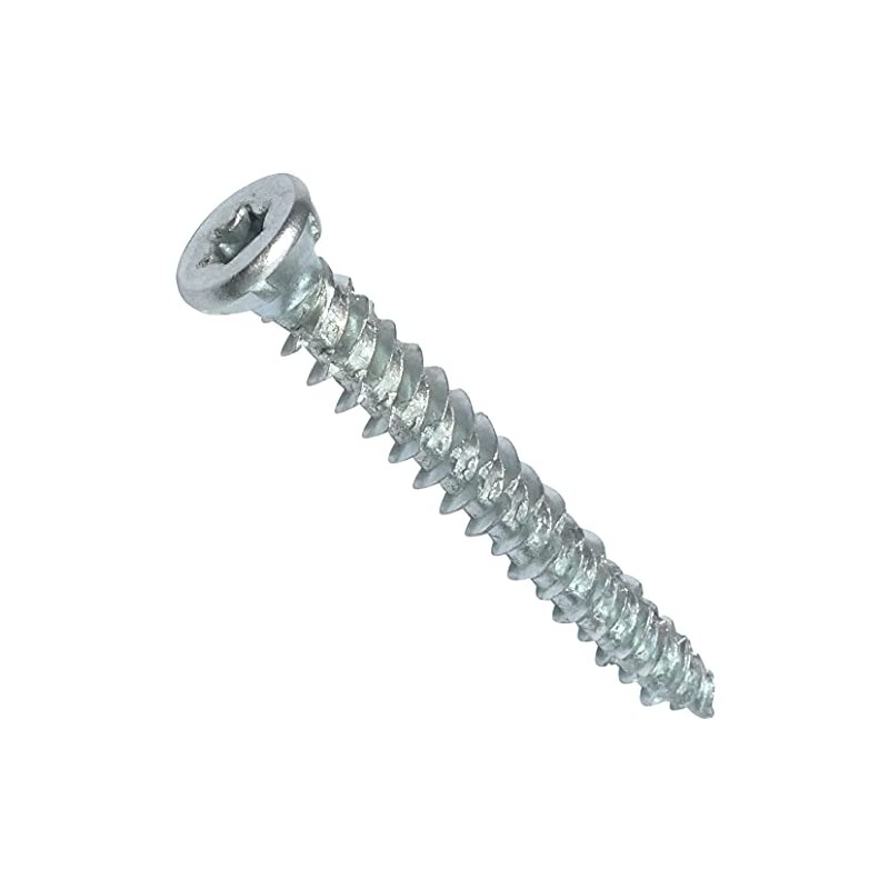 AERZETIX - C48381 - Set of 10 Screw Anchors Concrete