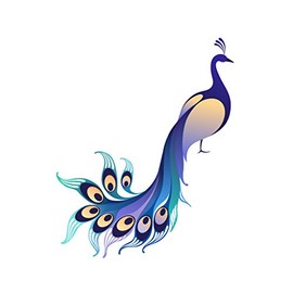 Applicable Pun Watercolor Peacock Beautiful Blue Feathered Bird - Vinyl Decal for Outdoor Use on Cars, ATV, Boats, Windows and More - Color 11 inch