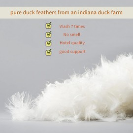 YSTHER Down Feather Throw Pillow Inserts 14x22 Set of 2 Square Form Sham Stuffer Premium Hypoallergenic Cotton Lumbar White Decorative Sofa Cushion Couch