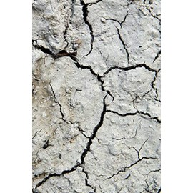 Happy Birthday Book: Happy Birthday Gifts Lined Journal Notebook (83) | Romantic Gift for Girlfriend/Boyfriend Friend Coworker Birthday Gifts | ... Funny Birthday Presents | Journal For Women