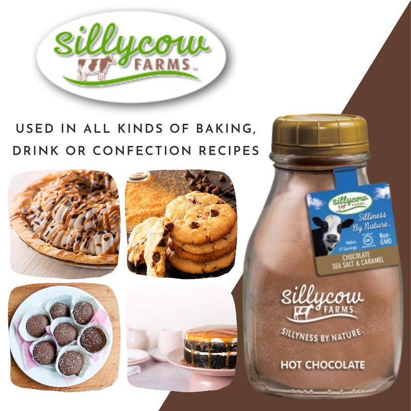 Silly Cow Farm Caramel & Sea Salt Hot Chocolate 16.9oz