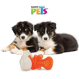 Fancy Pets Juguete Dental Hueso/Pescado, Entrelazado