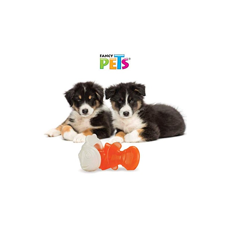 Fancy Pets Juguete Dental Hueso/Pescado, Entrelazado
