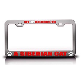 My Heart Belongs to A Siberian CAT Pet Cats Dogs Metal License Plate Frame Style 6 Chrome