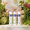 NIVEA Deo Spray Exotic Feeling Limited Edition, Deodorant mit 72h
