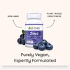 EZ Melts Zinc - Supplement for Immune, Digestive & Skin