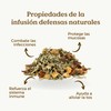 InmuneTea Organic 100g (50 Cups) | Herbal Loose Leaf Tea