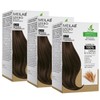 MEILAB Permanent Hair Colour without Ammonia - Pack of 3
