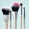 Fillimilli Mini Makeup Brush Kit (5P) - Fillimilli Mini Makeup