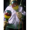 [TradeWind] Maracas Latin Percussion Wood Wood Percussion Shaker Egg Shape
