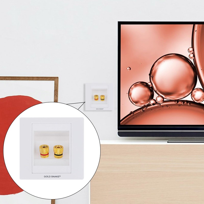 Sharplace 2x Speaker Socket, Wall Socket, Multimedia Speaker Connection, Speaker