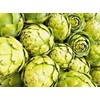 Artichoke 20 Seeds for Planting Non-GMO