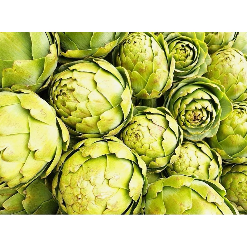 Artichoke 20 Seeds for Planting Non-GMO