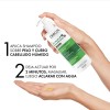 Shampoo Anticaspa Vichy Dercos Para Cabello Graso 390Ml