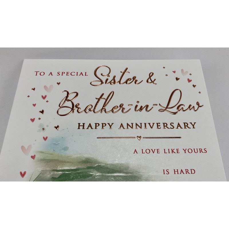 To A Special Sister and Brother in law Anniversary Card