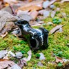 Funn Tron MTB Stem, 31.8mm Clamp, 50mm Length (Black)