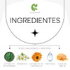 Kit Facial Antiarrugas Antioxidante Antienvejecimiento Cremas Hidratantes Día Noche Contorno