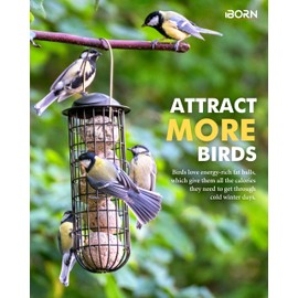 iBorn Fat Ball Holder, Metal Fat Ball Holder with Roof, Bird Feeder for Hanging, Metal Feeding Station, Feeder for Wild Birds, Black