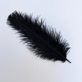 20pcs 6-8 Inches 15-20cm Ostrich Feathers DIY Craft Wedding Party Decoration (Black)