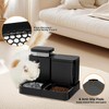 ZOMISIA Gravity Cat Feeder and Water Dispenser, 2 in 1