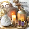 Fragrance Essential Oils Set - 14pcs, Aromatherapy Oils for Skin,