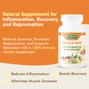 MUSCLE EASE JOINT NERVE Support Fast-Acting Relax Comfort Recovery Natural