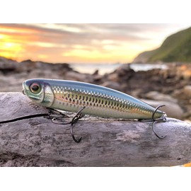 Rapala - Fishing bait precision Xtreme pencil plastic construction - bait bottom water - surface swimming depth - size 8.7 cm / 12 g - made in Estonia - bleak