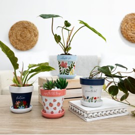 Pavilion Gift Company- Rooting for You - 4"x4"x2.5" Plant Pot with Tray Potter with Drainage Hole Plant Lover Flower Succulent Pot Indoor Outdoor Use Encouraging Uplifting Friend