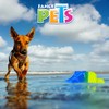 Fancy Pets Cool Paleta Congelable para Perro para Usar en