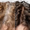 L'oreal Excellence CrÃƒ¨me Superior Grey Coverage, 5X Medium Brown, 1.74