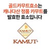 Grain On Gold Kamut Enzyme Benefits Kamut Fermented Rice Powder