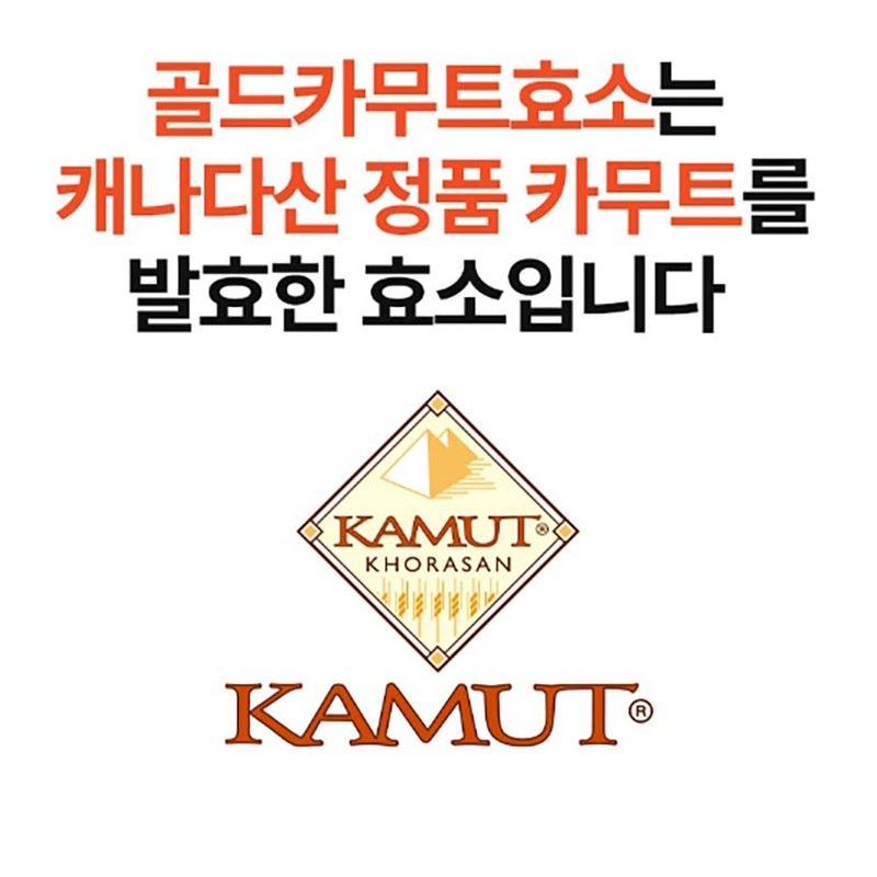 Grain On Gold Kamut Enzyme Benefits Kamut Fermented Rice Powder