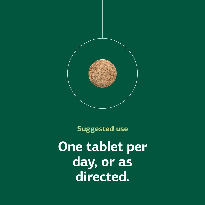 Standard Process Zinc Complex - Enzyme Function Support to Aid