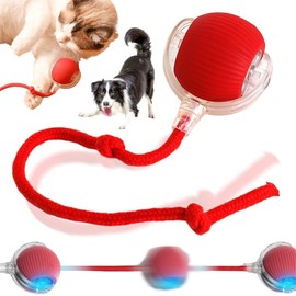 Interactive Cat Toy Ball for Indoor Cats - Electric Chirping Bird Sound Toy with Motion Activated Rolling Action, Red Rope Design, Stimulates Hunting Instincts, Ideal for Kittens and Adult Cats (Red)