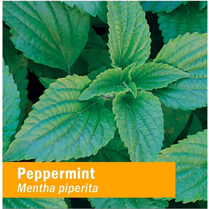 Herb Pharm, Peppermint Spirits Organic, 1 Fl Oz