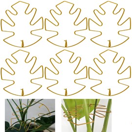 WOEUROI Monstera Plant Support for Indoor Plants, 6 Pack Plant Stabilizer for Leaves and Turtle Shells, Durable Hook Plant Stem Supports for Healthy Growth, Indoor Plant Care Stakes for Plant Lovers