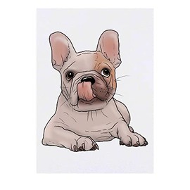 'French Bulldog Puppy' Temporary Tattoo - Water Resistant, Skin-Safe, Non-Toxic Transfer (TO00046258)