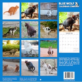 2026 Fecal Felines Monthly Wall Calendar | 12" x 24" | Prank Gift White Elephant or Gag Gift Pooping Cats Calendar