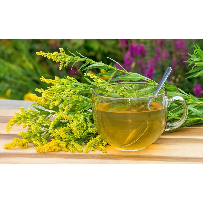 Health Embassy Goldenrod Herb (Solidago virgaurea L) (100g)