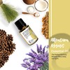 Rocky Mountain Oils Attention Assist Essential Oil Blend with Essential