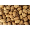 INSHELL Fresh Texas Pecans | 5 Pound Clear Bag |