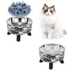 2PCS Elevated Cat Bowls with Slow Feeder, Wide Raised Stainless