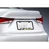 Plumeria Plastic License Plate Frame