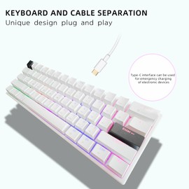 ONE-UP Portable 60% Mechanical Gaming Keyboard LED Backlit Compact 61 Keys Mini Wired Office Keyboard with Blue Switch PBT Keycaps for Windows Laptop PC Mac.（White/Black）