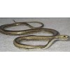 Yellow Rat Snake - 48" Rubber Snake Replica - AAA