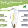Sigalux Edison Bulbs, E26 LED Bulb ST58 Filament Clear Non-Dimmable